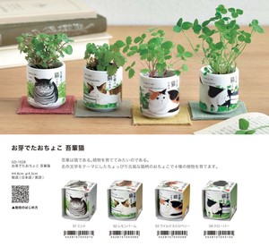 「栽培セット」「猫グッズ」お芽でたおちょこ 吾輩猫