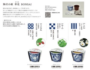 「栽培セット」染付小紋 草花 BONSAI