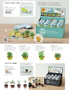 「栽培セット」育てるカプセル ゆ桶でハーブ栽培 & まめ盆栽