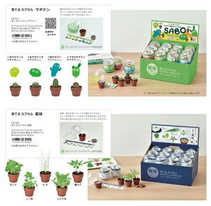 「栽培セット」育てるカプセル サボテン & 薬味