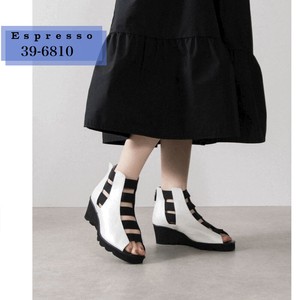 Basic Pumps