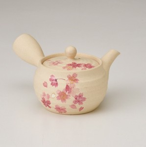 常滑烧 日式茶壶 茶壶 新商品 2025年