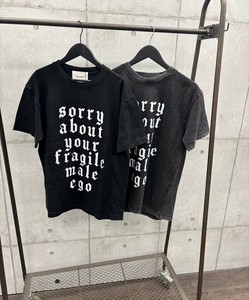 英文字ptTシャツ