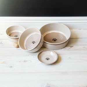 Dog Bowl Food Bowl Cat Dog