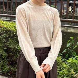 Sweater/Knitwear Crew Neck Knit Pullover
