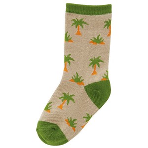Kids' Socks Dinosaur Socks Skater 14 ~ 16cm