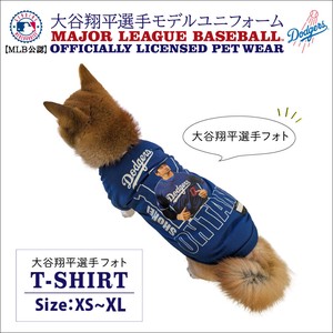 犬用服装