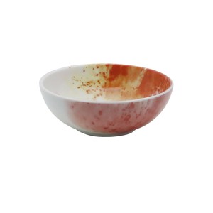 COSMO Donburi Bowl