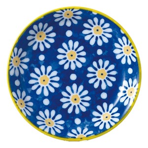 Main Plate