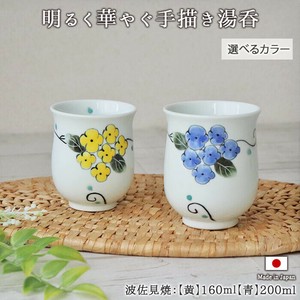 Hasami ware Japanese Teacup Porcelain Dishwasher Safe Hand-Painted 160ml Made in Japan