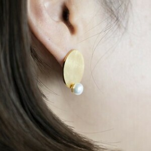 Pierced Earrings Titanium Post