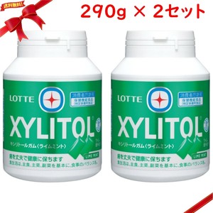 キシリトール ライムミント ガム 290g x 2個セット