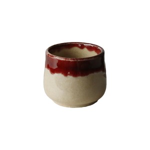 Japanese Teacup