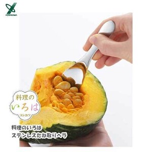 打蛋器