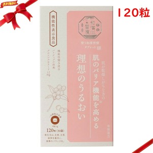 生活の木 整う和漢習慣タブレット 理想のうるおい 120粒