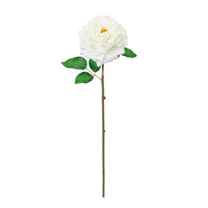 人造植物/人造花材 2025年
