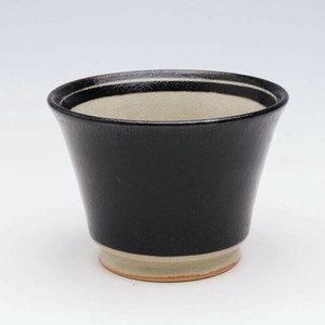 Cup/Tumbler