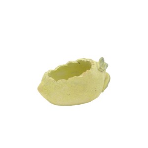 【カルナック】シャンタルフルーツレモン
