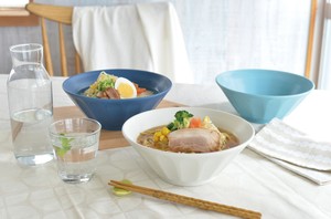 Mino ware Donburi Bowl 7-types Made in Japan