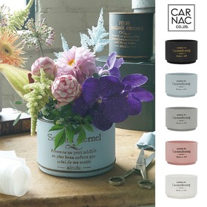 Pot/Planter