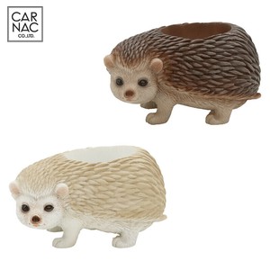 花盆 新商品 刺猬