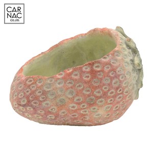 Pot/Planter