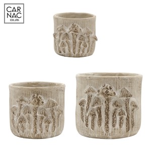 花盆 新商品 折扣/打折 不来梅
