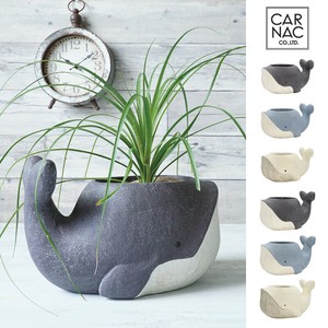 Pot/Planter Whale