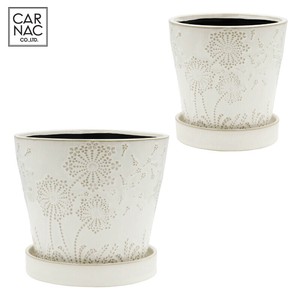Pot/Planter
