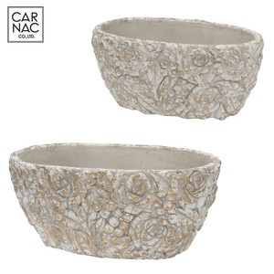 Pot/Planter Rose