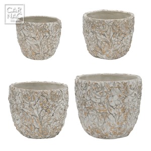 Pot/Planter Rose
