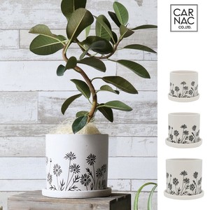 Pot/Planter Flower