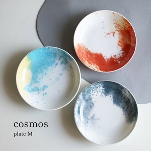 美浓烧 大餐盘/中餐盘 单品 COSMO S尺寸 日本制造