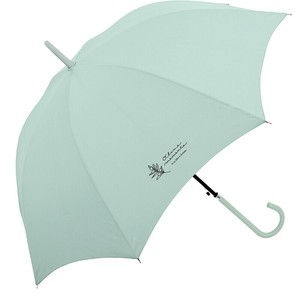 Umbrella Botanica