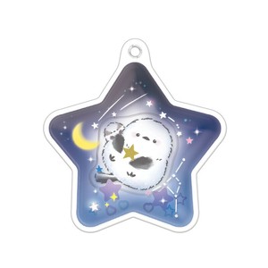 Key Ring