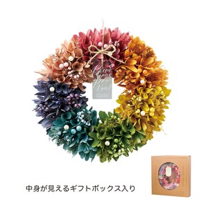 ナチュラルリース L　レボリューション　フラワー　ポット　鉢　ピック　花　植木　母の日