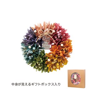 ナチュラルリース M　レボリューション　フラワー　ポット　鉢　ピック　花　植木　母の日