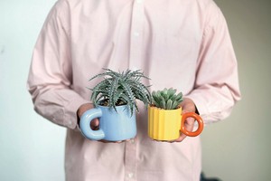 アートポップマグ　ツートン　フラワー　ポット　鉢　ピック　花　植木　母の日