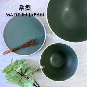 常盤　大皿　小鉢　中鉢　丼ぶり　取り皿　小皿　ミニ焼　日本製