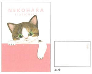 【2025春夏新作】【ねこ雑貨】【ねこハラ文具】B6ノート　ピンク　BD050-23