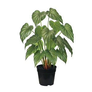 Artificial Plant Green