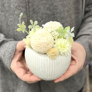 プリザーブドフラワーポルトまんまるピンポンマムクラシックカラー和風