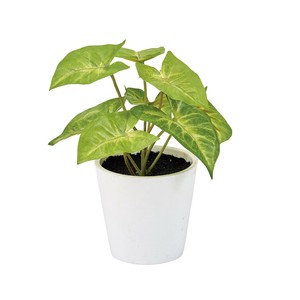 Artificial Plant Green
