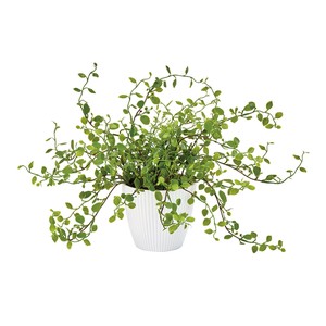Artificial Plant Green