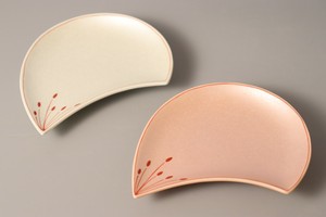 Main Plate