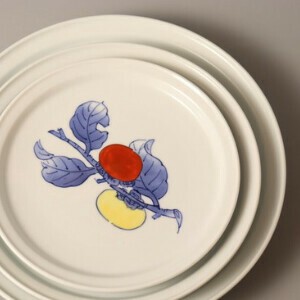 Main Plate Japanese Tableware Arita ware Hand-Painted Made in Japan
