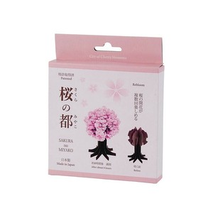 桜の都 39-385