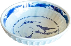 Mino ware Main Dish Bowl Dinosaur Back Order Item Pottery Made in Japan