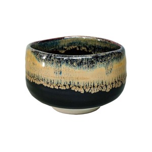 Mino ware Tableware Back Order Item Pottery Made in Japan