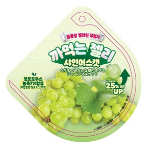 くだものみたいな皮付きグミ 54g 4種 【新商品】